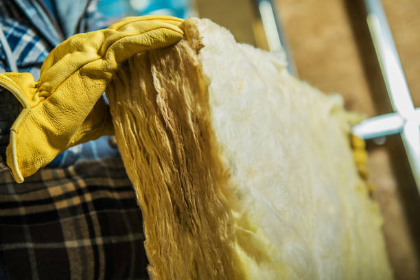 Best Insulation Inspection Services  in Green Springs, OH