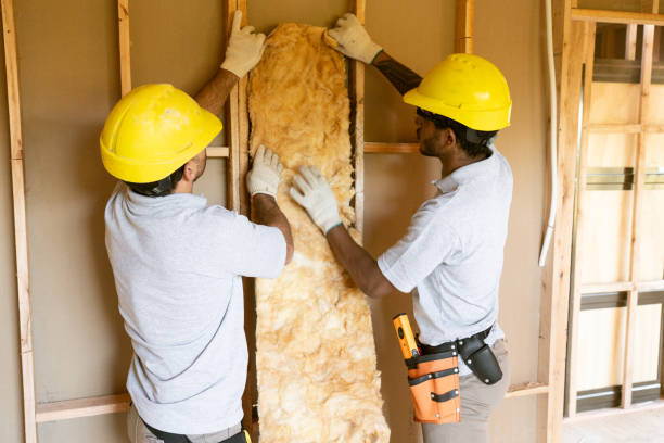 Best Wall Insulation Contractor  in Green Springs, OH