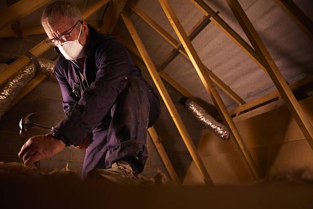 Best Insulation Contractor Near Me  in Green Springs, OH