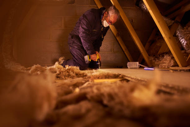 Best Insulation Contractor Near Me  in Green Springs, OH